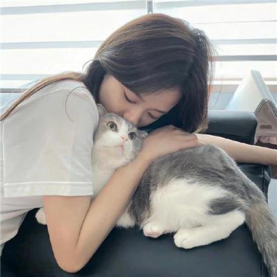 阿尔法爸爸